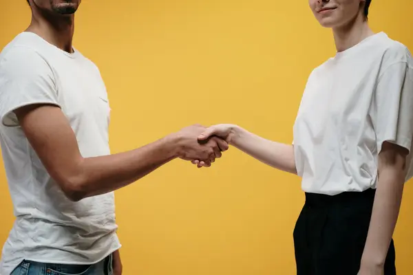 Handshake-3