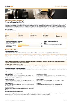 Vorschau: Berufsprofil Feinwerkmechaniker/in als PDF