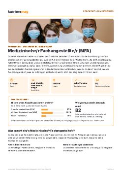 Vorschau: Berufsprofil als PDF